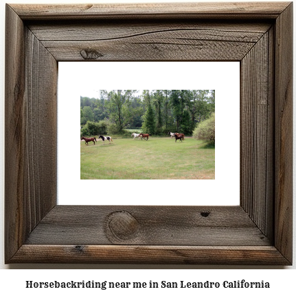 horseback riding near me in San Leandro, California